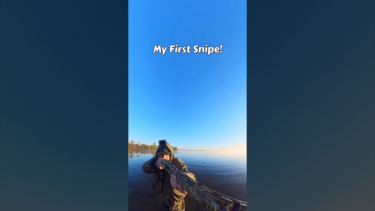 My First Wilson&rsquo;s Snipe! #snipehunt #waterfowl #hunting #duckhunting #snipe #insta360 #shorts