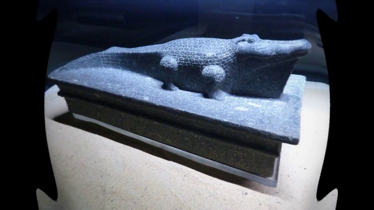 KOM-OMBO (Museo Del Cocodrilo)