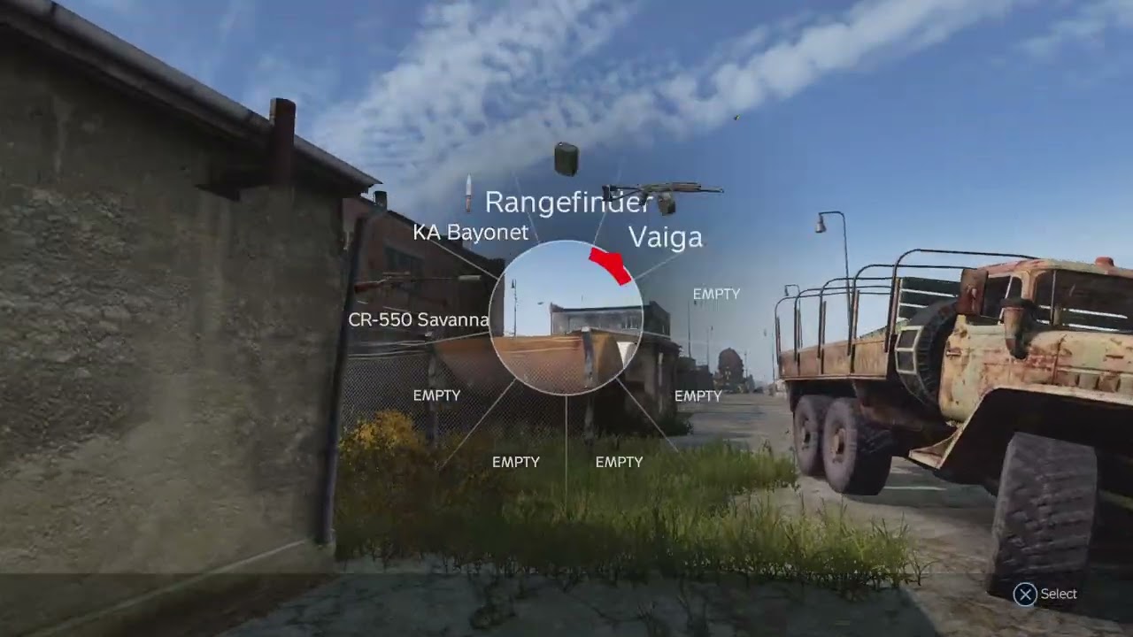 DayZ Zeleno
