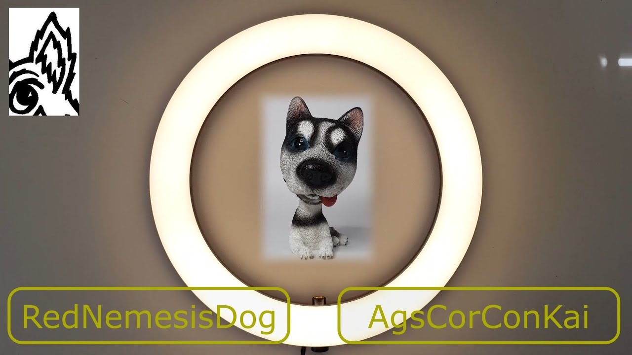 AgsCorConKai. Red Nemesis Dog Music Diaries #308