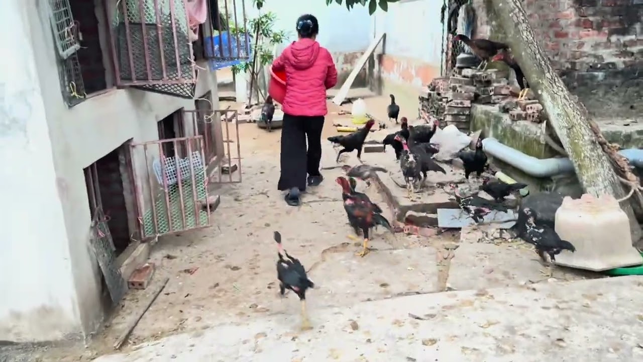 Phong cảnh quê hương tôi