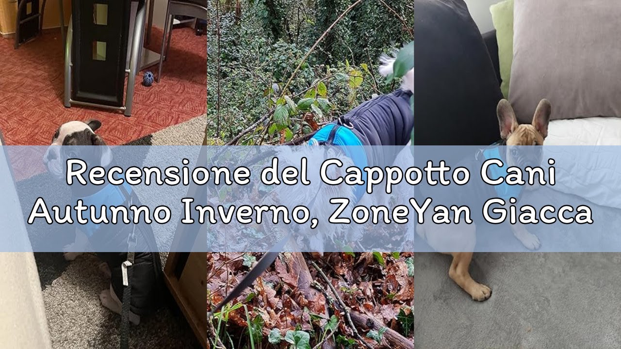 Recensione del Cappotto Cani Autunno Inverno, ZoneYan Giacca Cotone Cani Caldo, Gilet Animali Domest