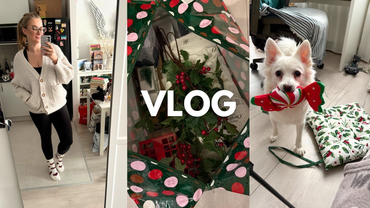 MÓWIĘ I MAM TO CO CHCĘ | SPRZĄTAM OZDOBY | NIGDZIE NIE MOŻNA TEGO KUPIĆA | VLOG
