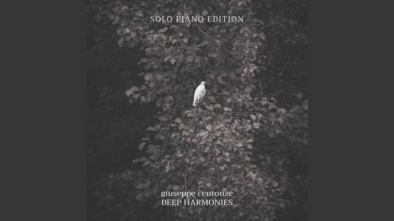 Le jour o&ugrave; j&rsquo;ai d&eacute;cid&eacute; de r&eacute;apprendre (Solo Piano Version)