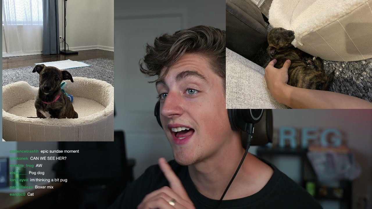 Respecting others in GTA - Danny Gonzalez Twitch stream Vods