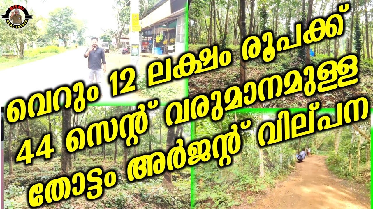 വെറും 12 ലക്ഷം രൂപക്ക് 44 സെന്റ് വരുമാനമുള്ള  തോട്ടം അർജന്റ് വില്പന | plotes for sale |