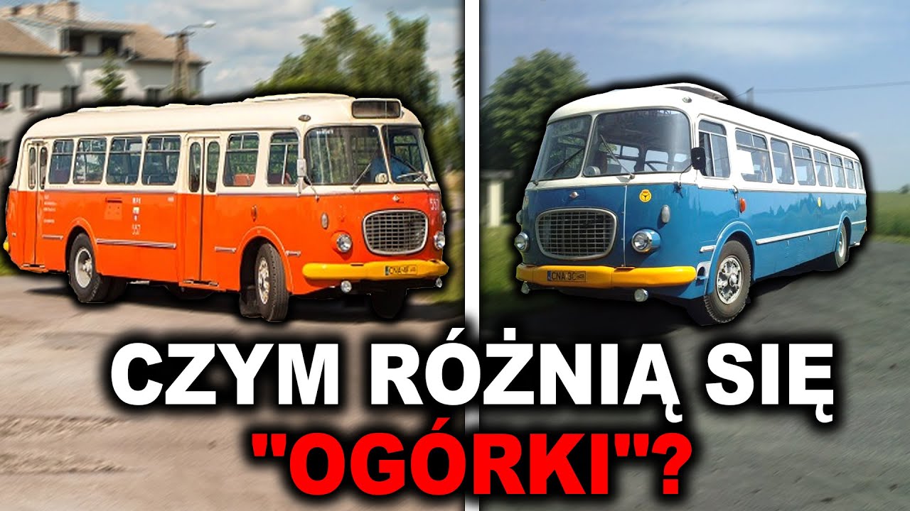 CZYM RÓŻNIĄ SIĘ OGÓRKI?