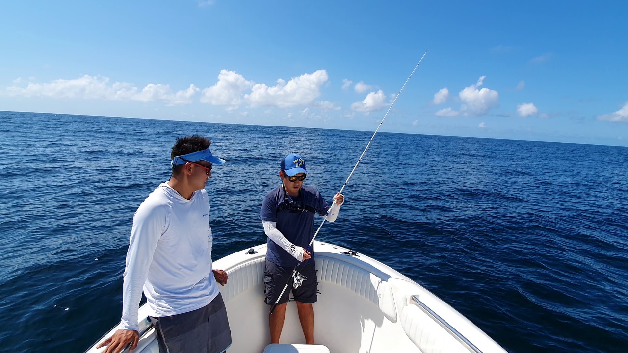 TUTORIAL SOBRE MICRO JIGGING #microjigging #ligthjigging #fishingsaltwater #jiggingtechnique