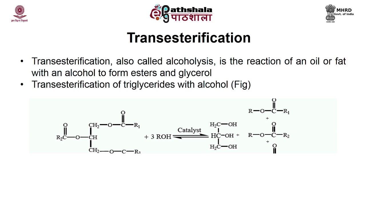 Biodiesel production from lipids