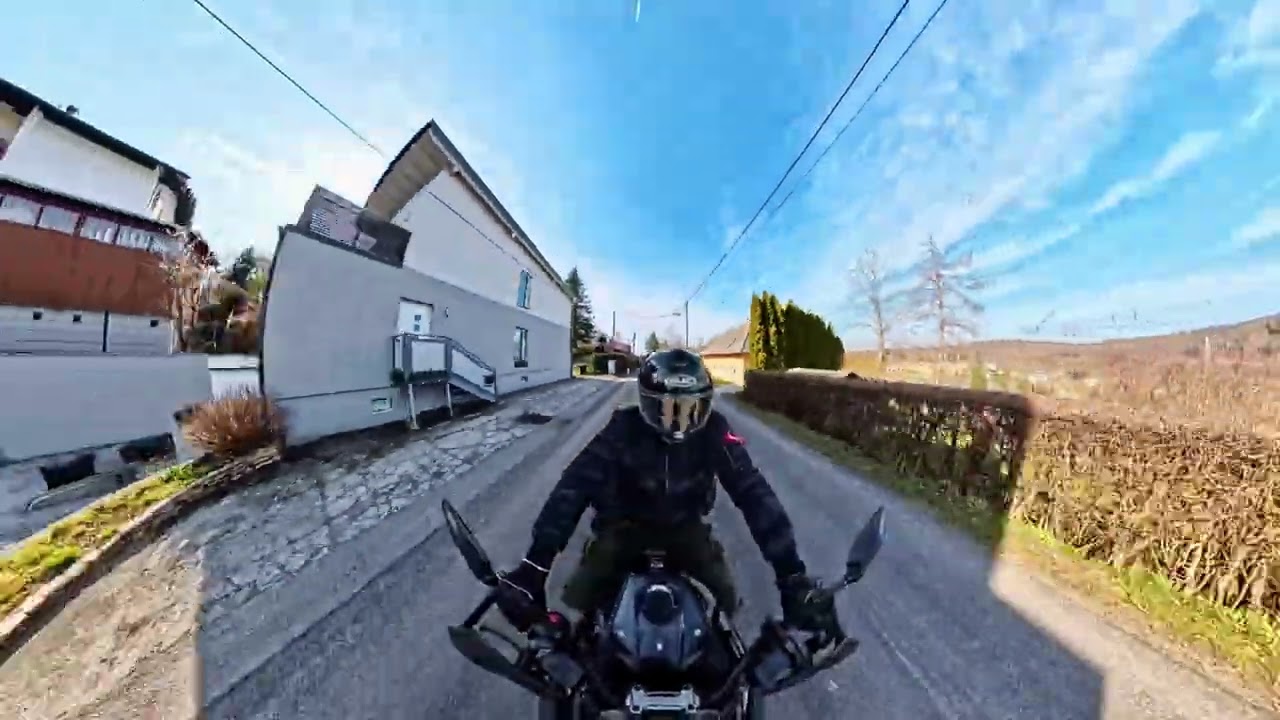Forest Sun Ride