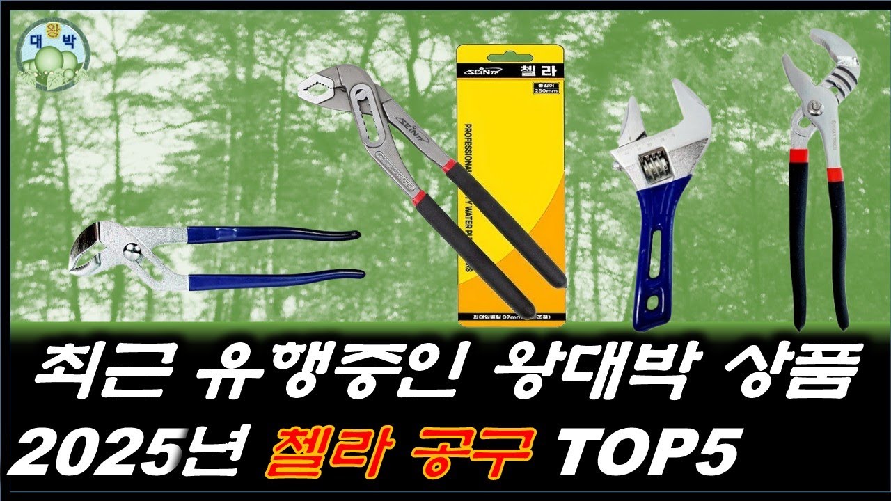 2025년 왕대박쇼핑 첼라공구(추천/첼라/워터펌프플라이어/욕실주방/공구/플라이어/미니) 인기 순위별 상품 소개