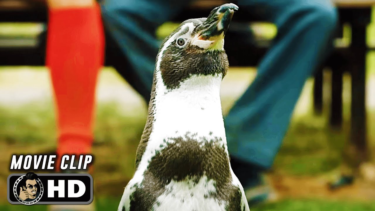 Penguin Rescue Scene | THE PENGUIN LESSONS (2025) Movie CLIP HD