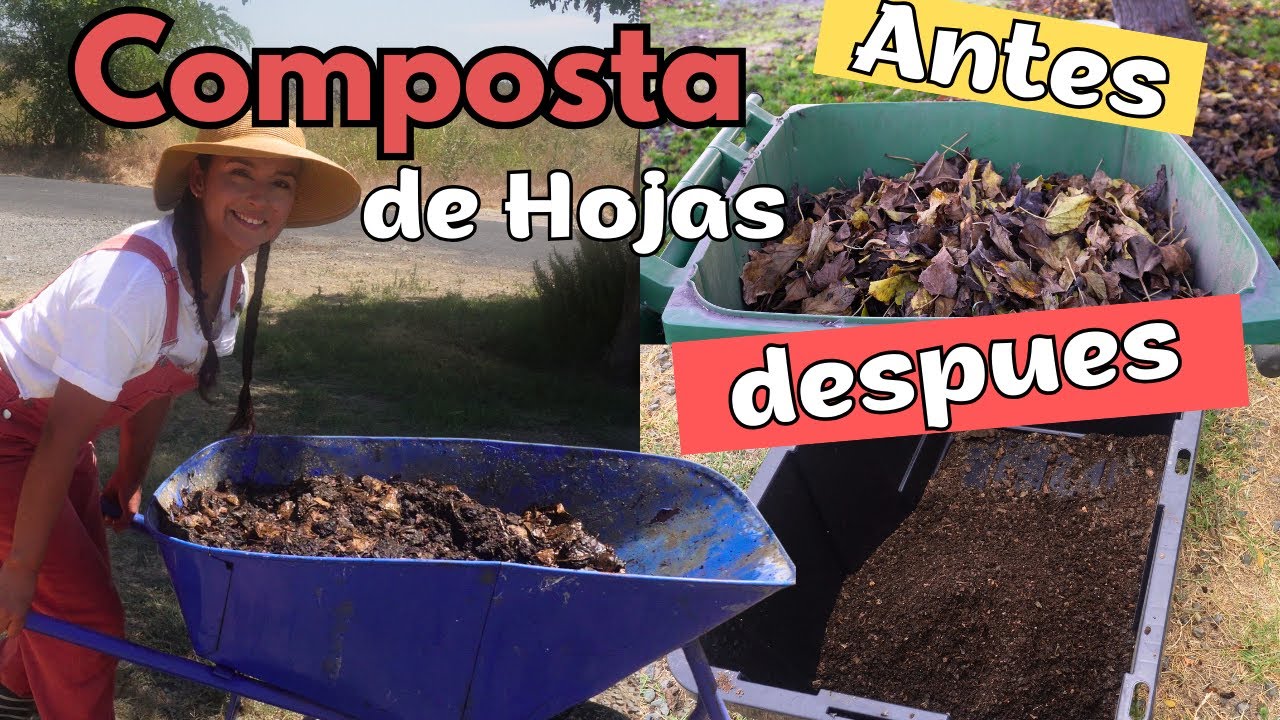 Hacemos Composta Con SOLO UNA BOLSA