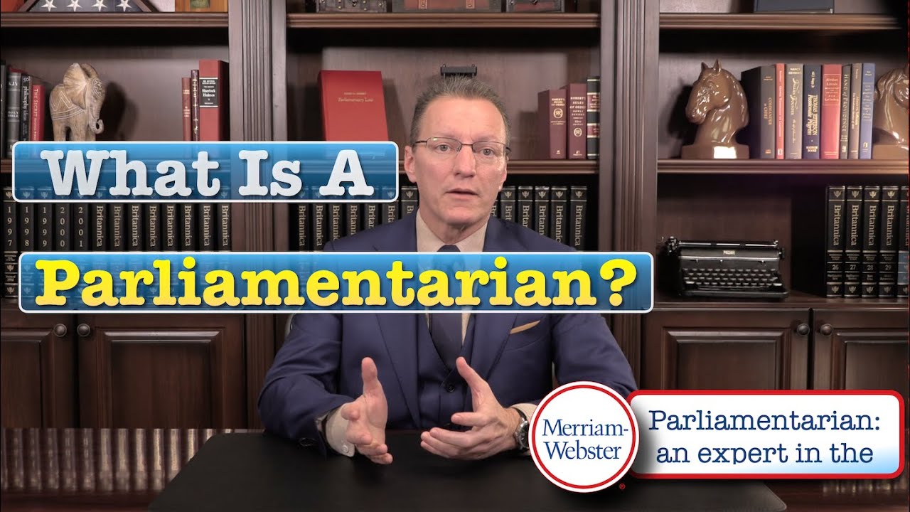 In Case You're Wondering What A Parliamentarian Is...