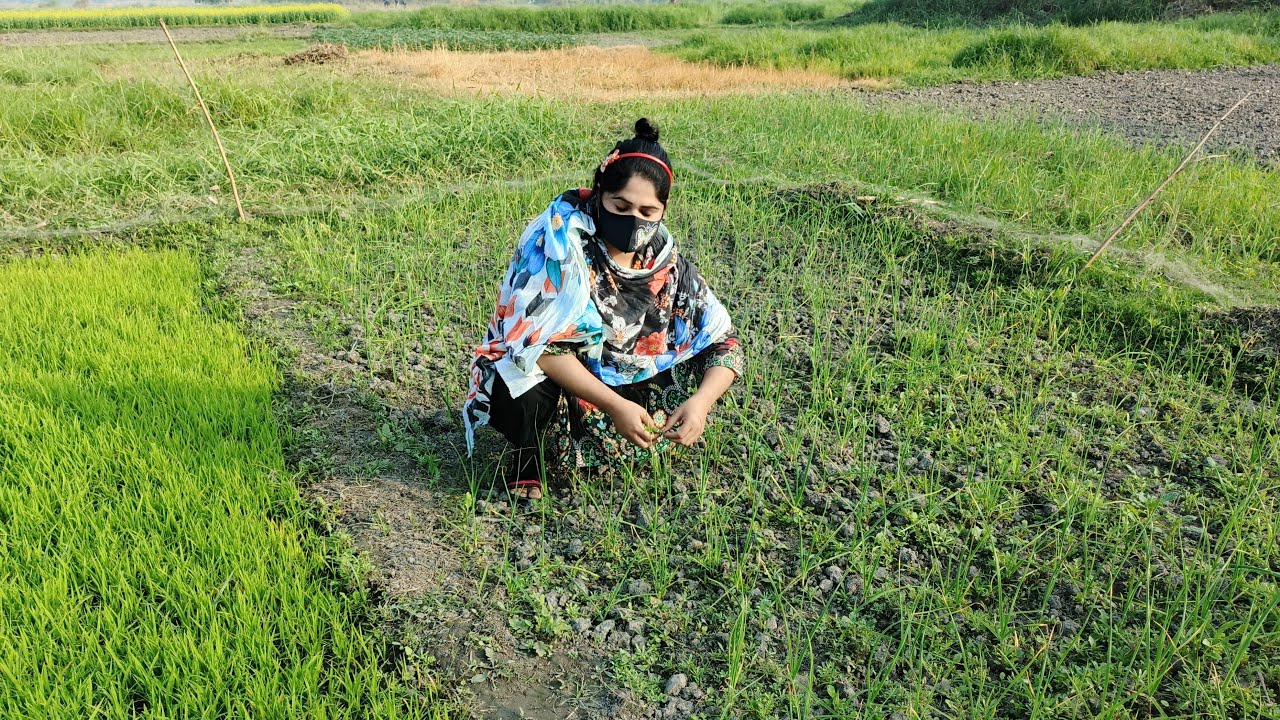আজকে আমি সকালে লাইভে চলে এসো বন্ধুরা
