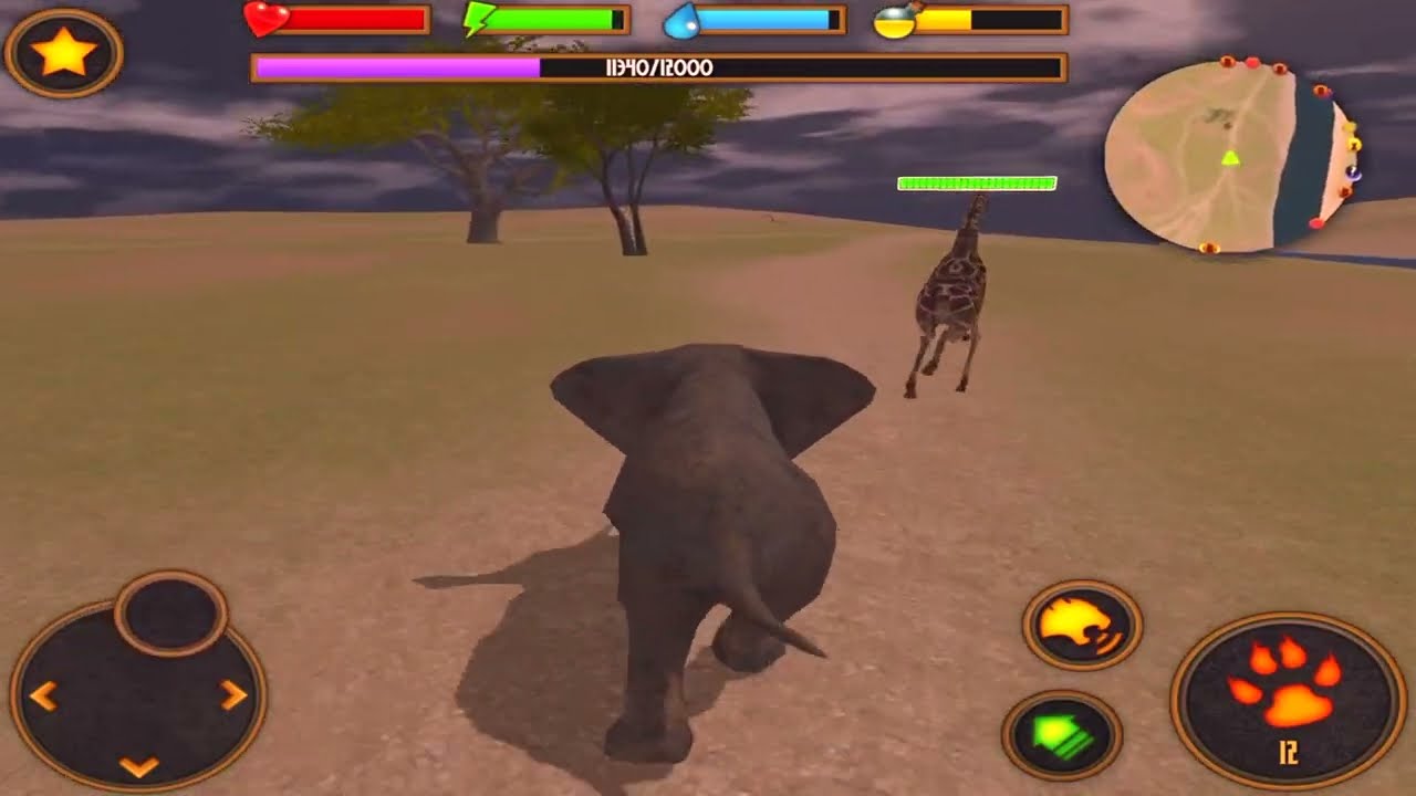 Clan Of Elephant