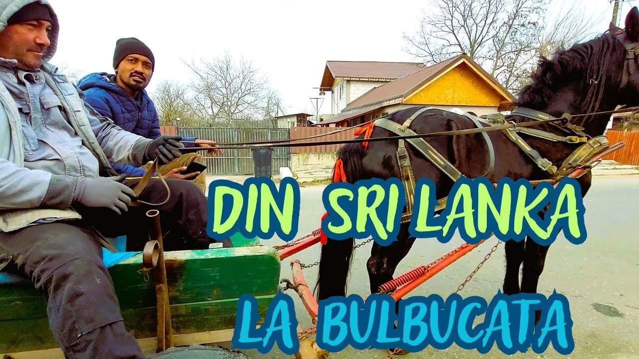 E din Sri Lanka și muncește la Bulbucata! V-ați muta în Coteni, cel mai mic sat din Giurgiu?