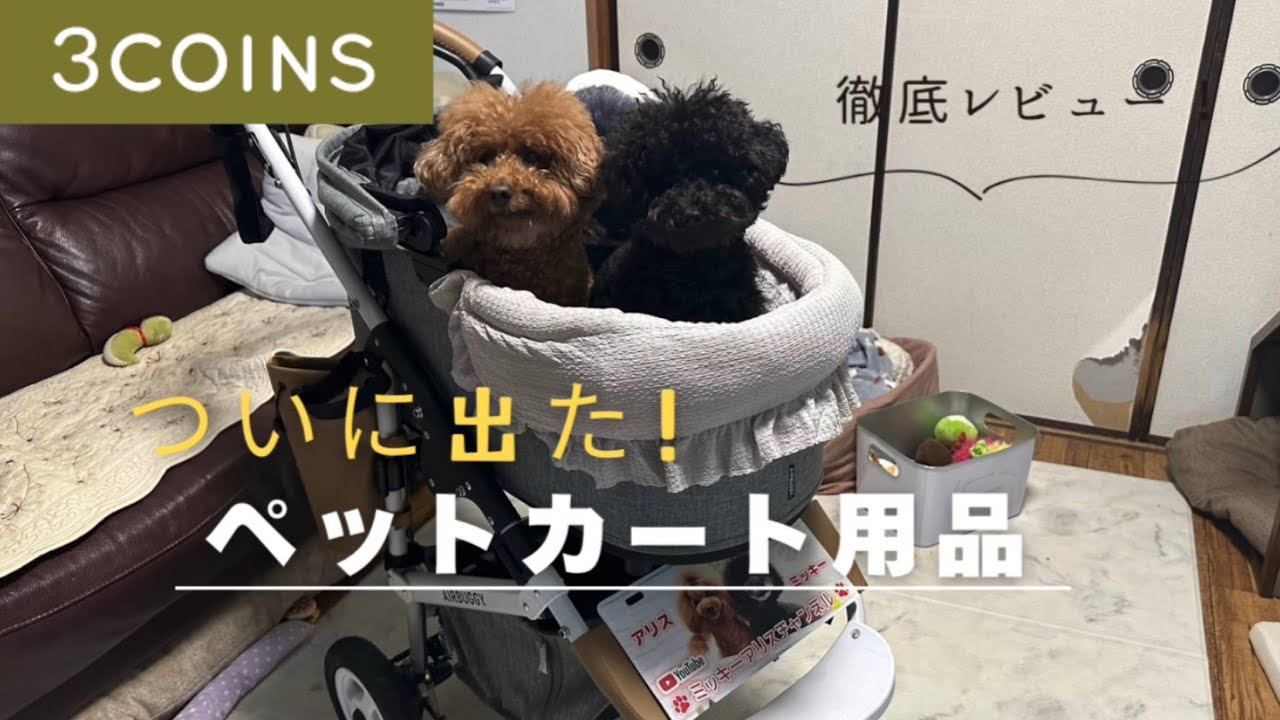 第514話 ついに出た！3COINSのペットカートグッズが神コスパすぎた！【高級クッションと比較＆徹底レビュー】
