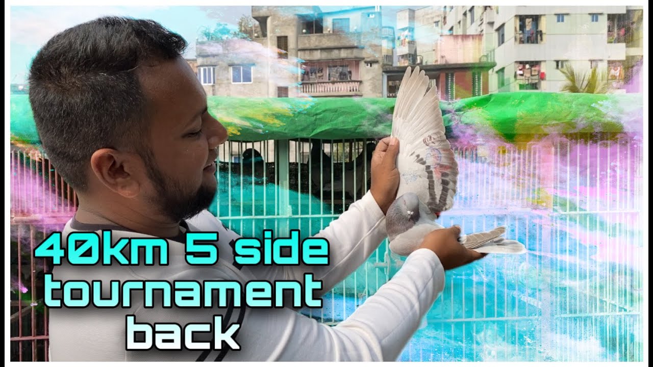 সাজ্জাদ ইকরামের ২০২২ সিজনের  টুর্নামেন্টের কবুতর