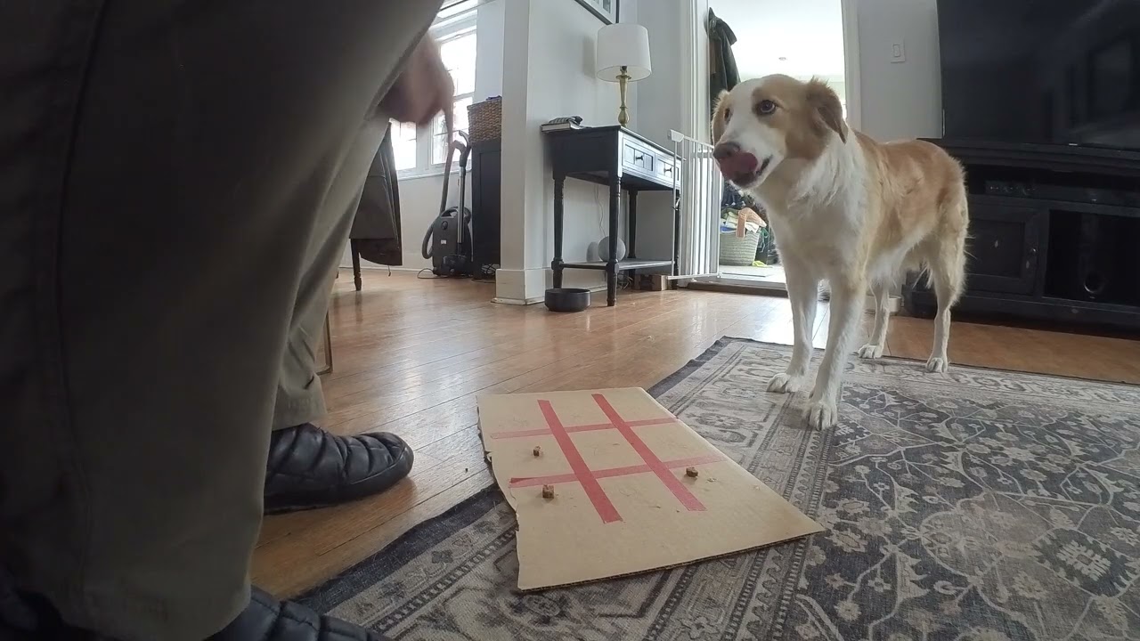 Pip beats me at Tic-Tak-Toe