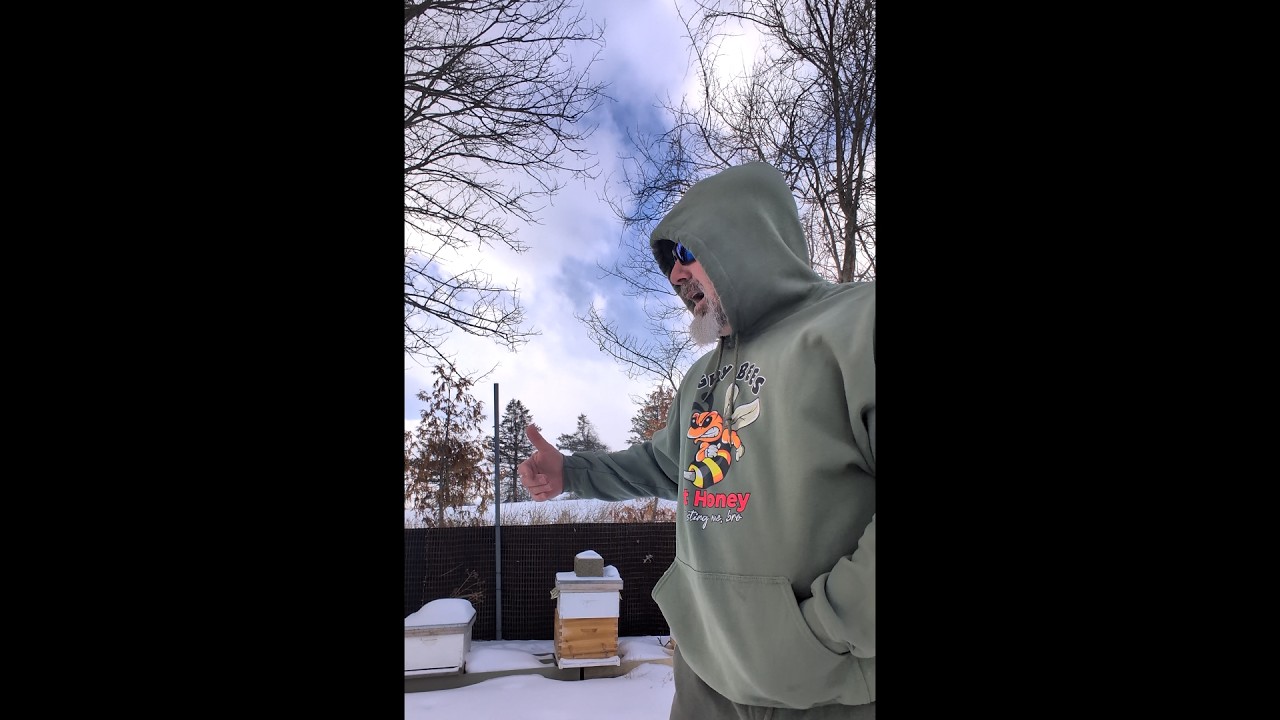 The top 2 questions bee keepers get asked in winter time about Honey Bee Survival