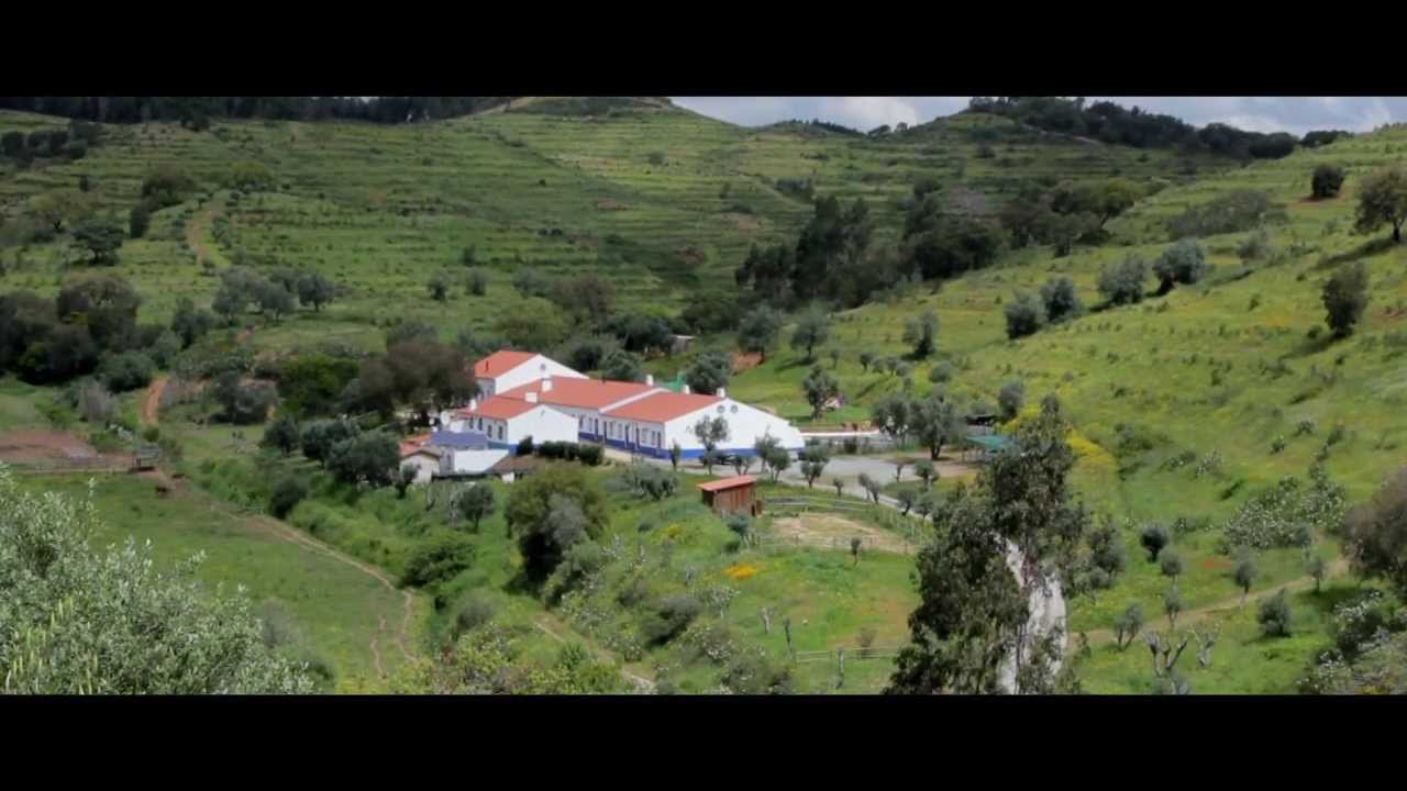 Welcome to Quinta do Chocalhinho • «The ultimate luxury of seeing and listening to Mother Nature»