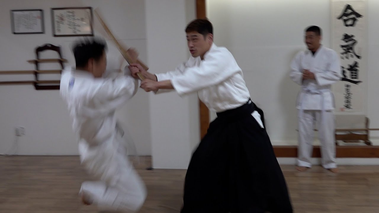 신비의 무술 아이키도.. 봐도 모르겠네.....
