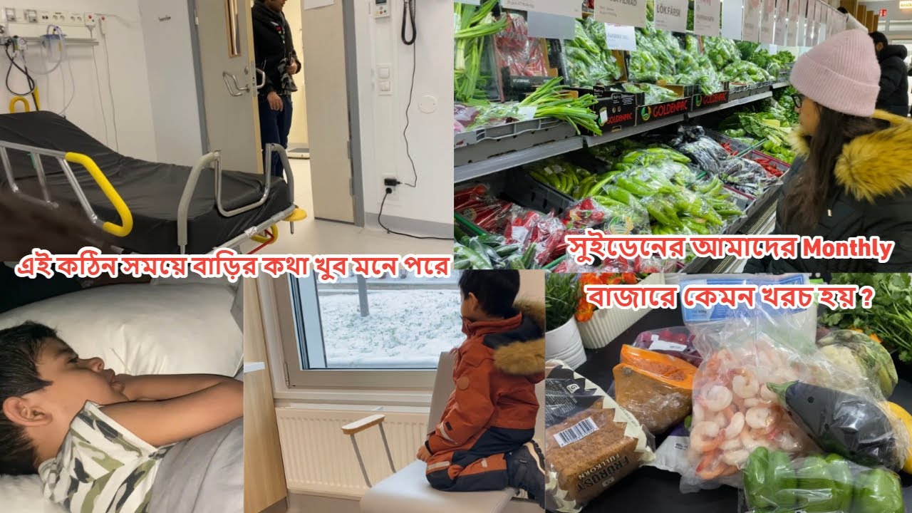 কঠিন সময় বিদেশে থেকে বাড়ির কথা খুব মনে হয়, সুইডেনে মাসিক বাজার খরচ #sweden
