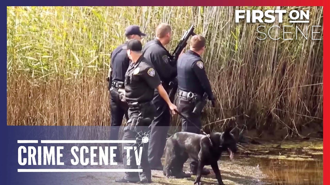 Пожарные в огне | Первые на месте происшествия 20 ноября | Crime Scene TV