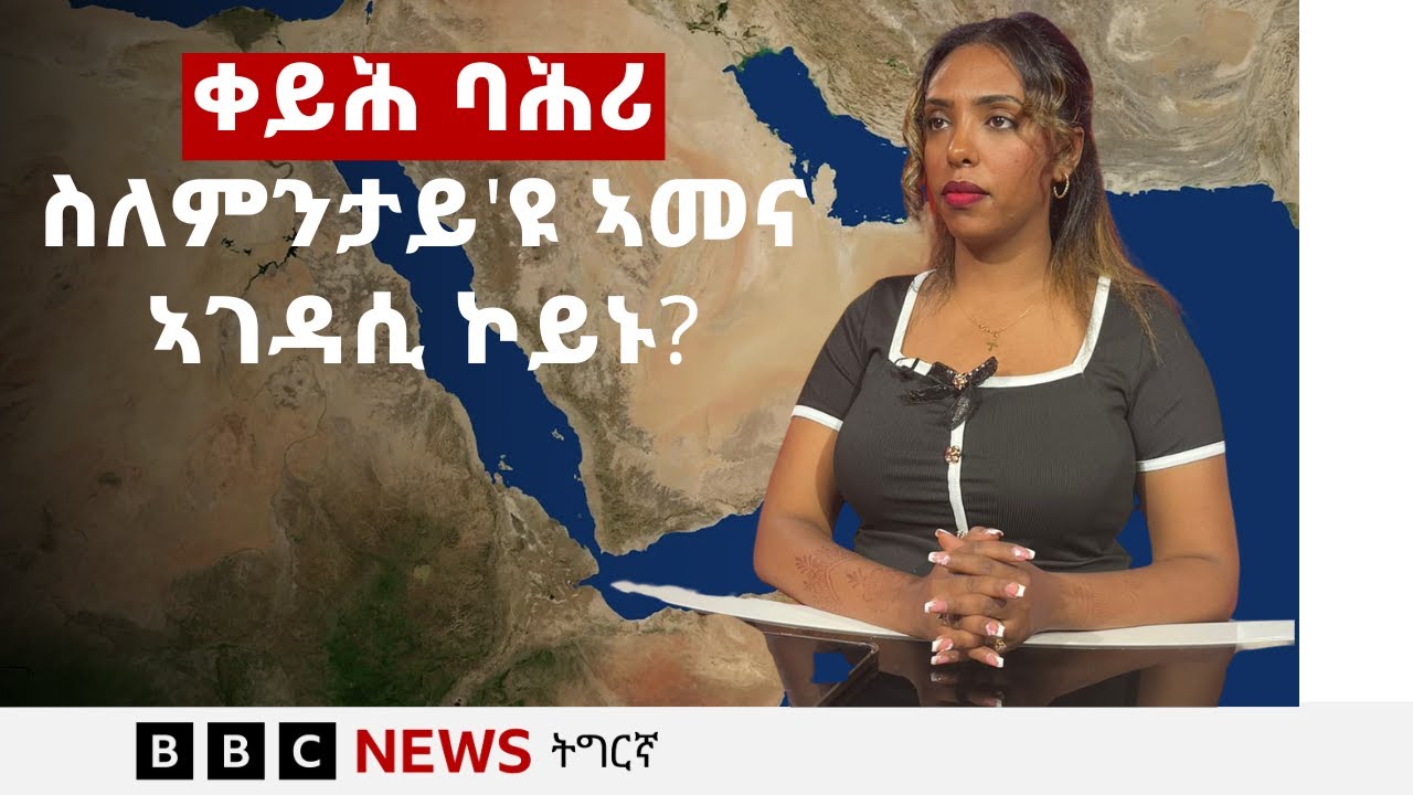 ቀይሕ ባሕሪ ስለምንታይ'ዩ ኣመና ኣገዳሲ ኮይኑ?