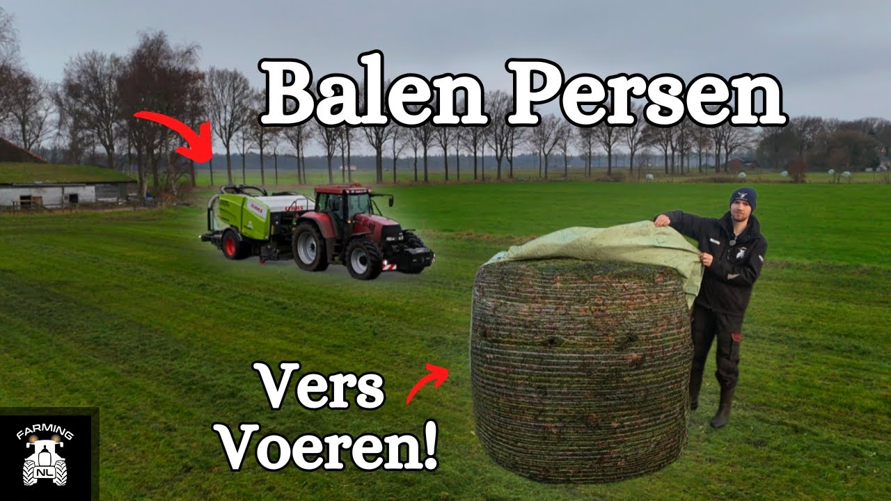 Balen Persen en Vers Gras Voeren in December!