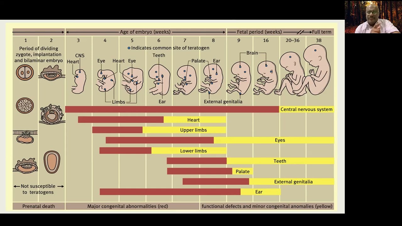 Principles of prescribing for cardiac patients in pregnancy