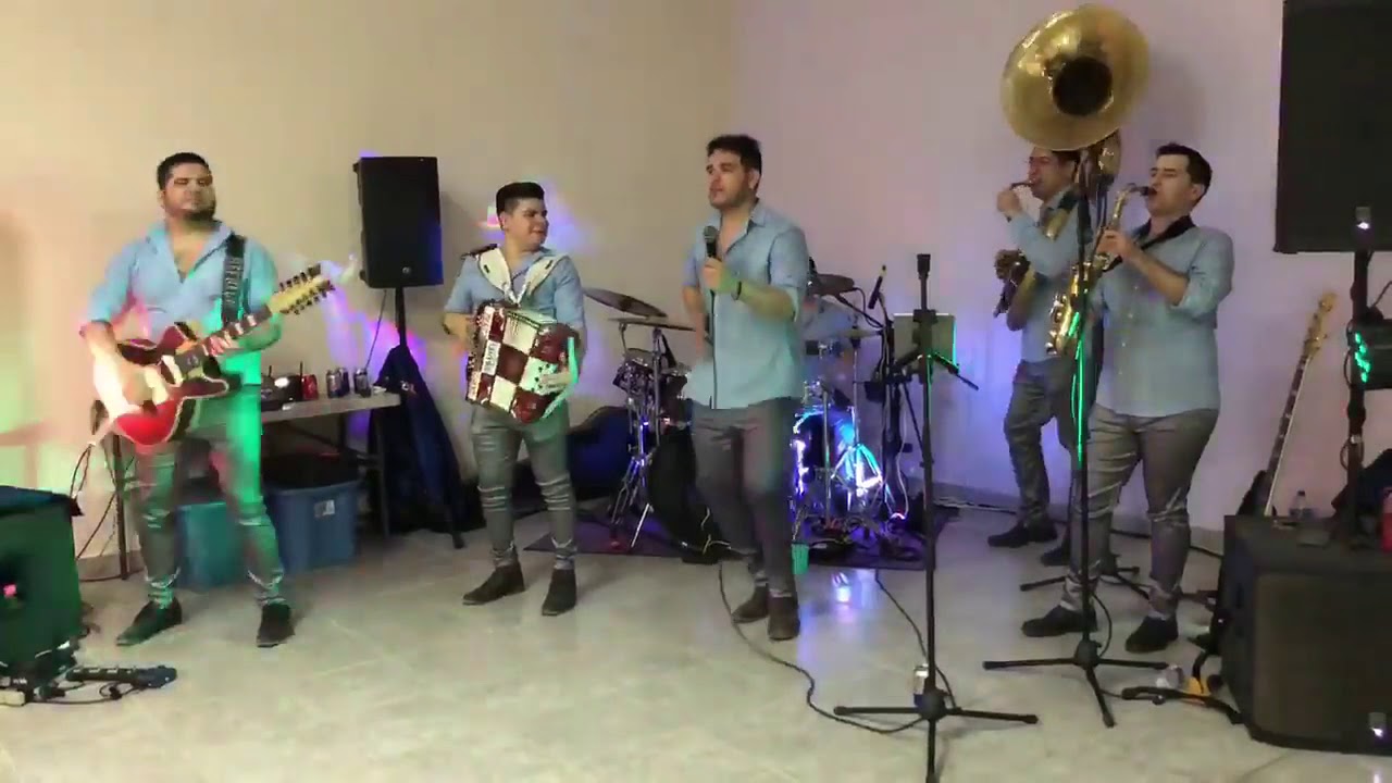Baby shark dododo version norteño