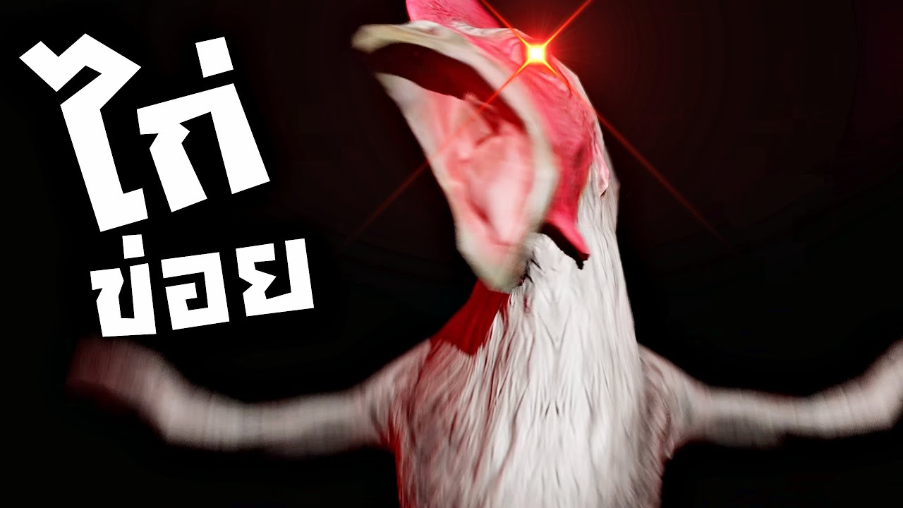 วิ่งหนีผีไก่ !!! ชีวิตกูที่ต้องมาวิ่งหนีไก่ 555+ | Chicken Feet