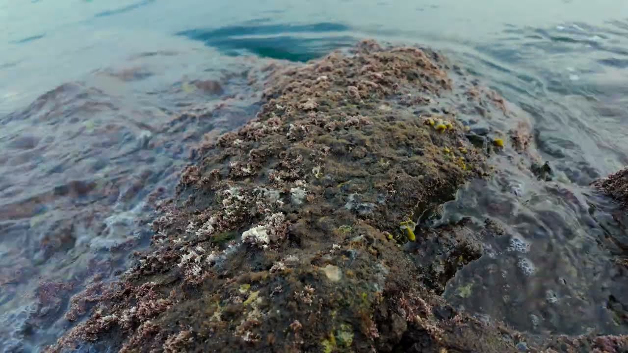 Sea waves at sunset in Golfe Juan Vallauris, Nature Relaxation Film &bull; Peaceful Relaxing ASMR Sound