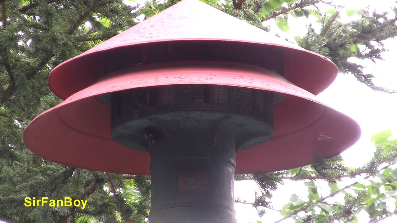 Signal 