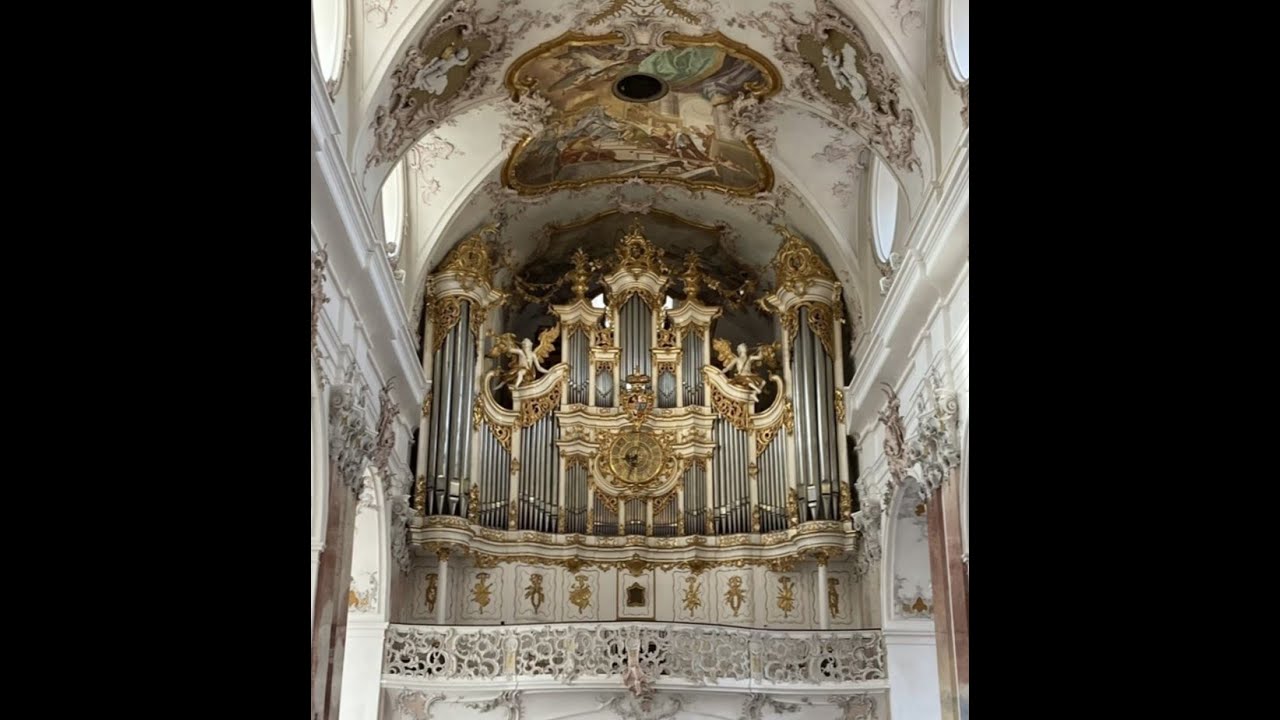 Amorbach Abbey church organist performing Bach's 