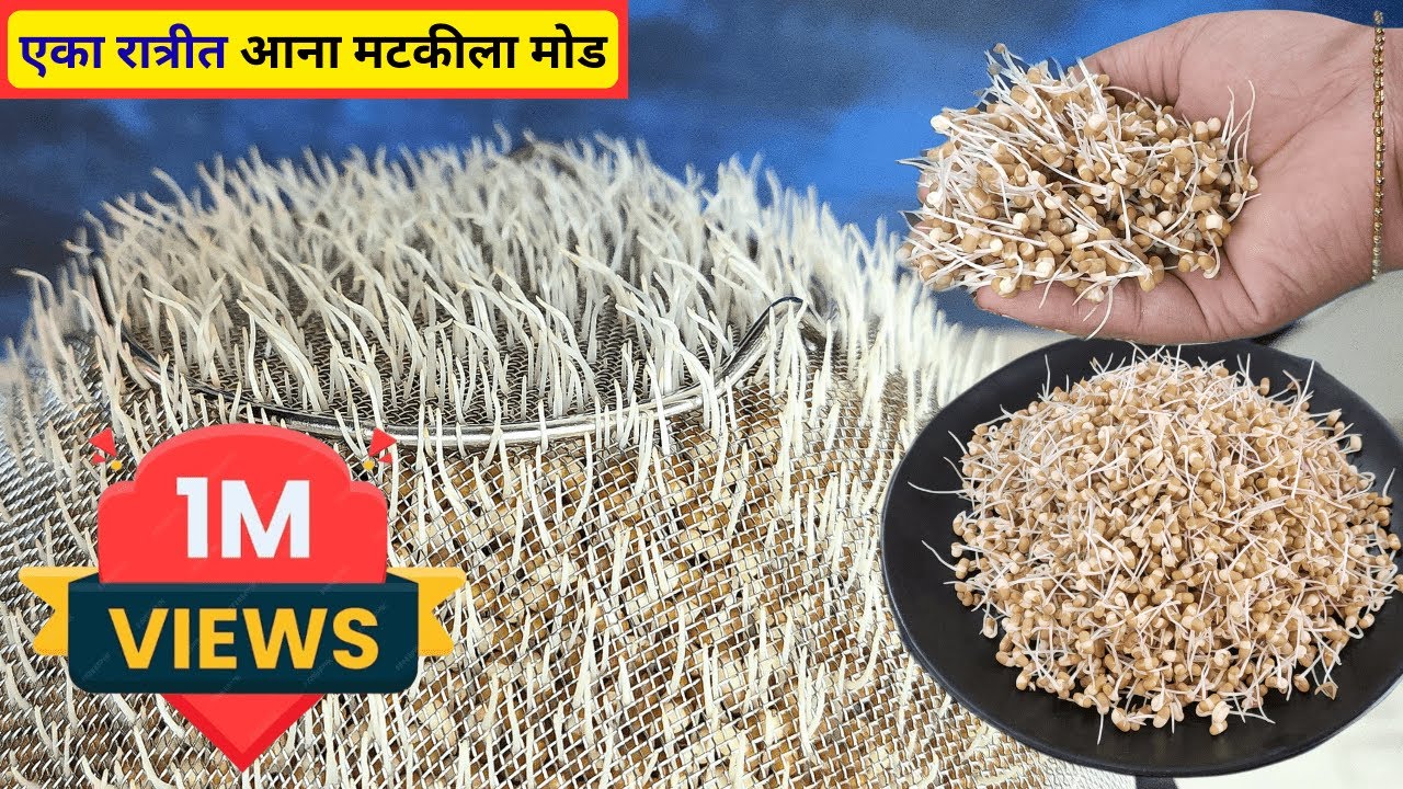 एका रात्रीत मटकीला मोड आणण्याची एकदम सोप्पी पद्धत । मटकीला मोड कसे आणायचे? How grow sprouts at home