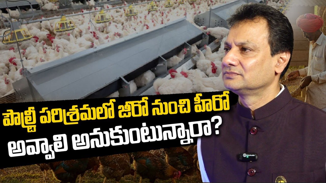 Poultry Industry లో జీరో నుంచి హీరో అవ్వాలంటే ? | Poultry India Expo 2025 | Oneindia Telugu