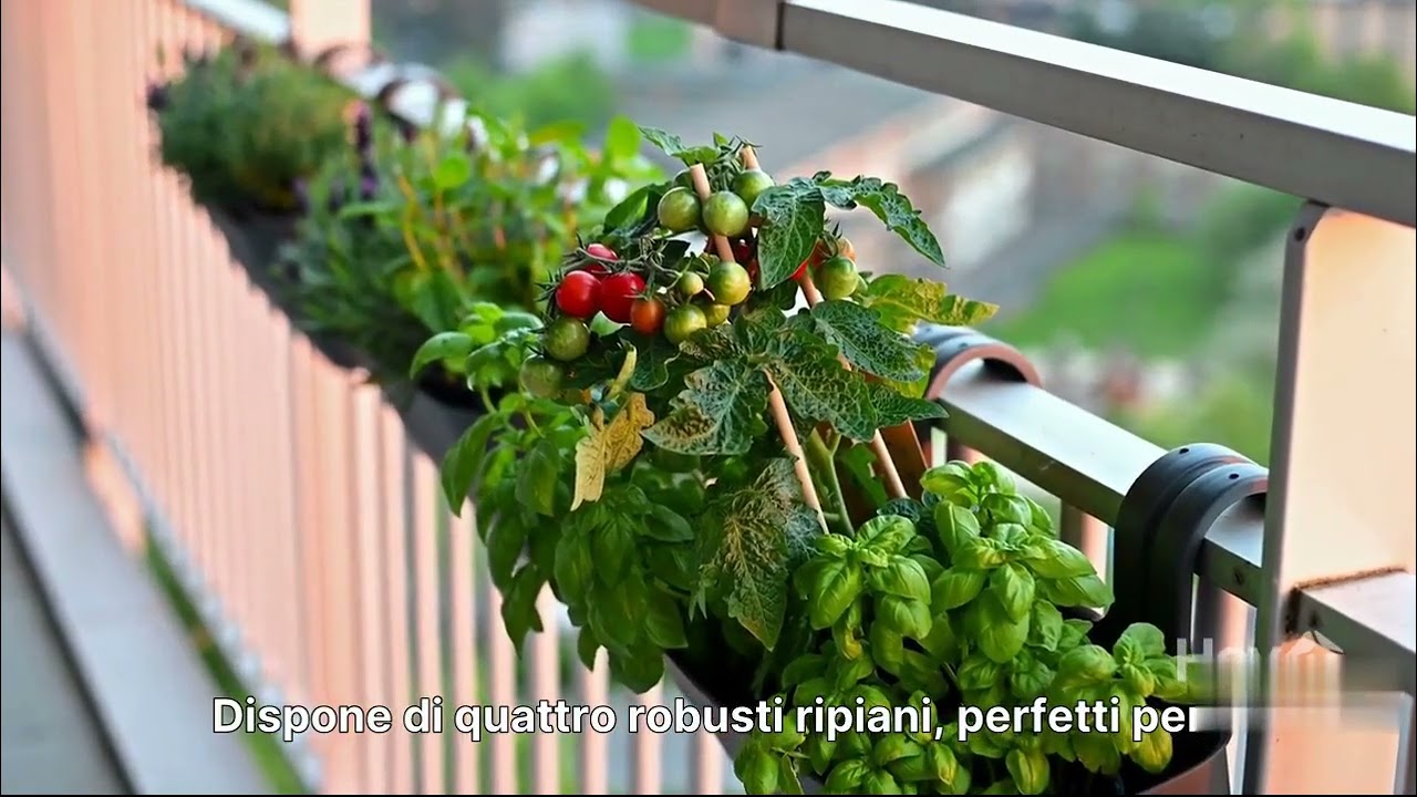 🌱🌿 𝗦𝗘𝙍𝙍𝖠 𝖣𝖠 𝘉𝖠𝗟Ⲥ𝝤𝖭𝗘 𝟦 𝙍𐌉𝝦𐌉𝖠𝖭𐌉 𝟭𝟦𝟯᙭𝟳𝟯᙭𝟭𝟵𝟱 Ⲥ𝝡 𝟤𝟢𝟤𝟨 Ⲥ𝝤𝗟ꔋ𐌉𝗩𝖠 𝝦𐌉𝖠𝖭ꔋ𝗘, 𝗘𝙍𝘉𝗘 𝗘 𝝤𝙍ꔋ𝖠𝗚𝗚𐌉 ꔋꓴꔋꔋ𝝤 𝗟’𝖠𝖭𝖭𝝤 🌤️🏡