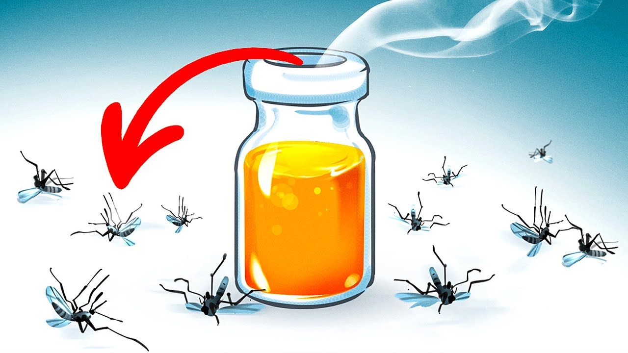 15 Cách Tự Nhiên Để Đuổi Muỗi Ra Khỏi Nhà Của Bạn