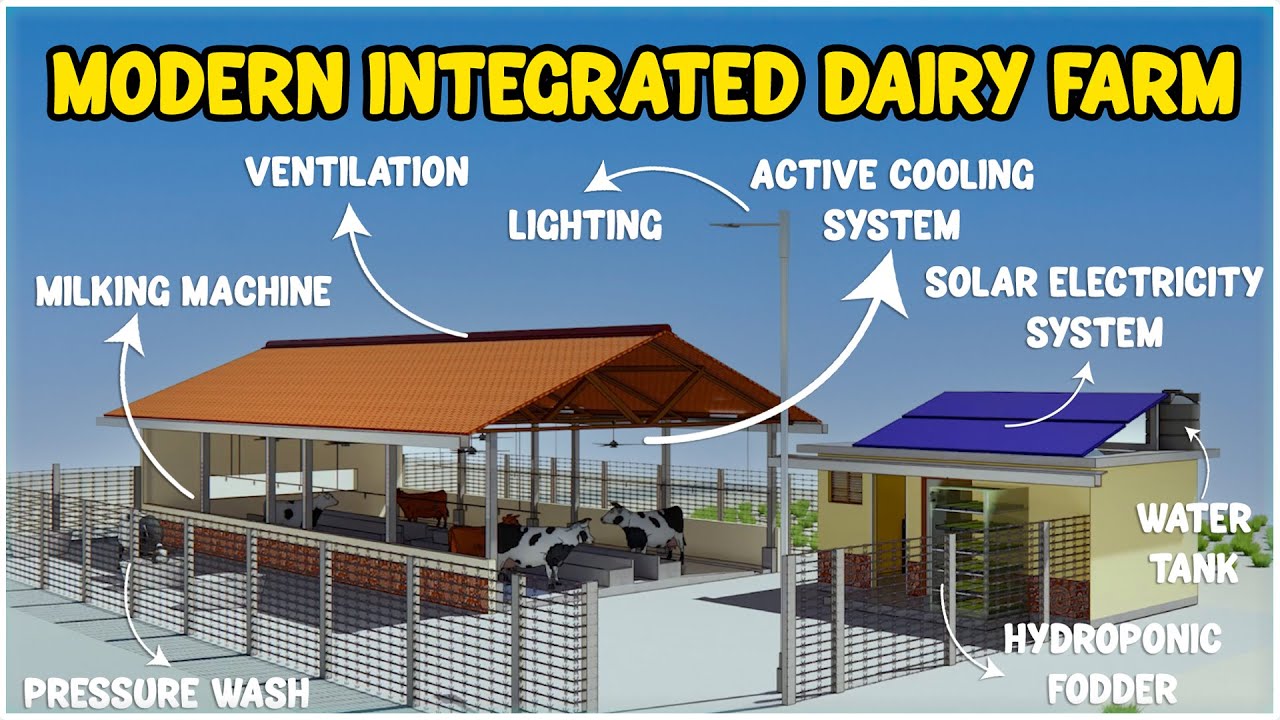 Simple and Amazing Integrated Solar DAIRY FARM | Modern Cowshed Design