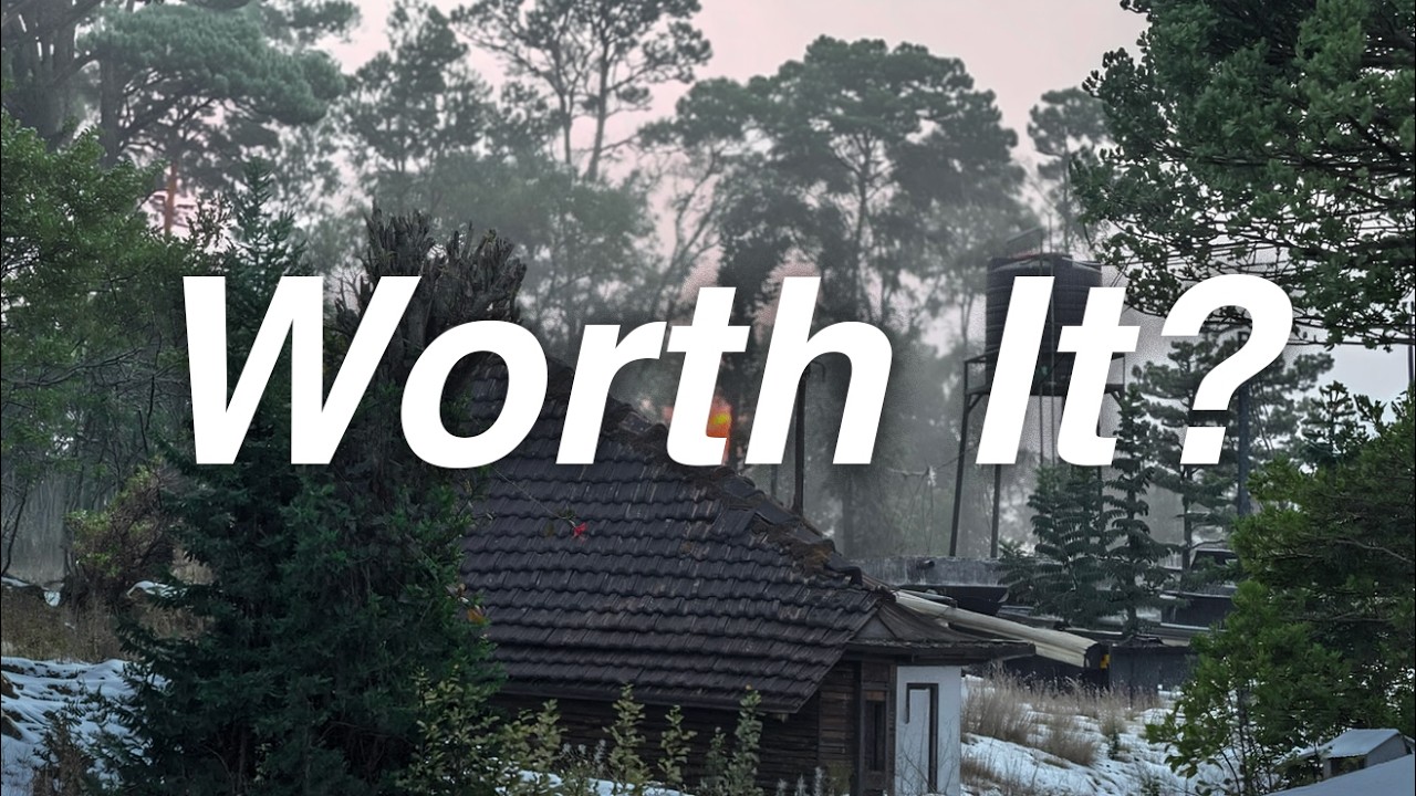Mysore to Coorg | Was It Really Worth It?