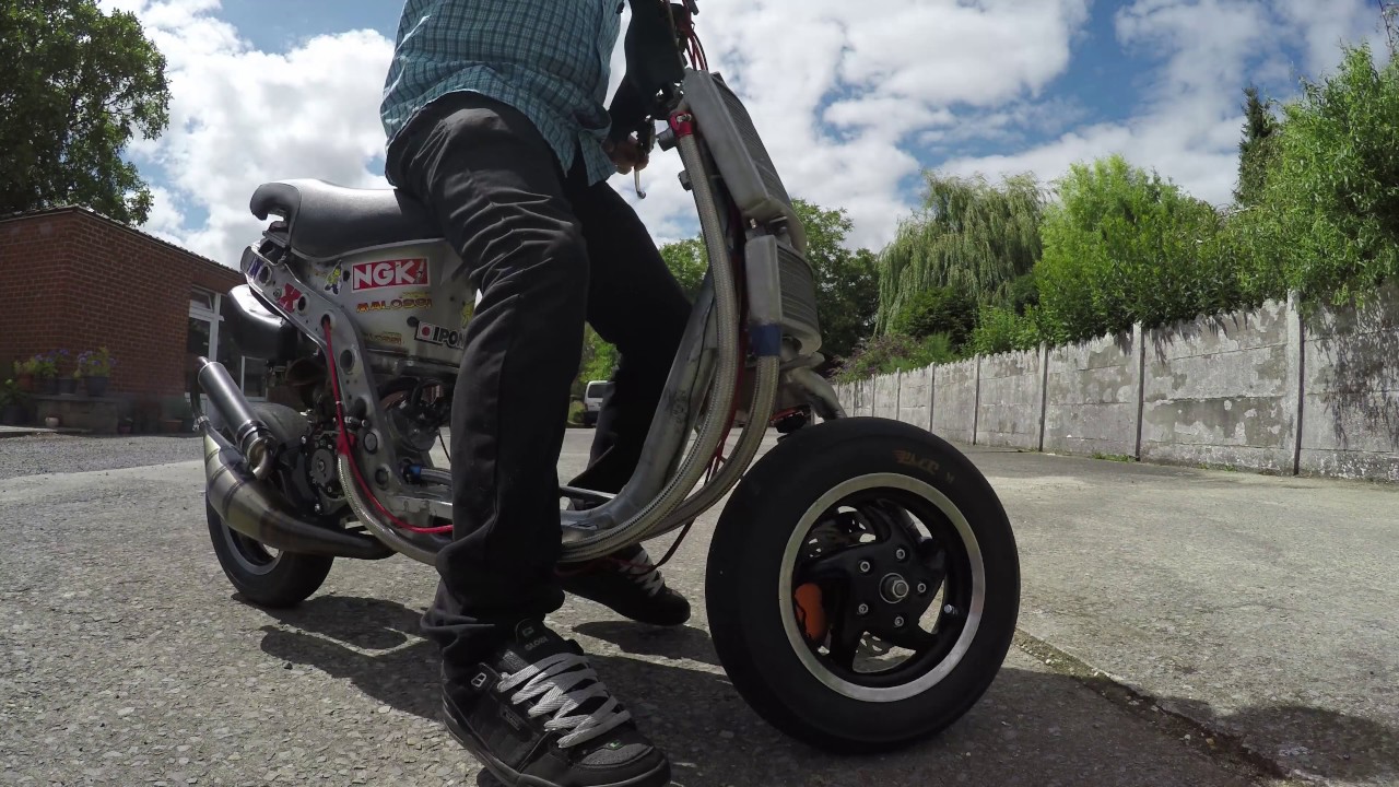 Roost 100cc Havoc Unleashed