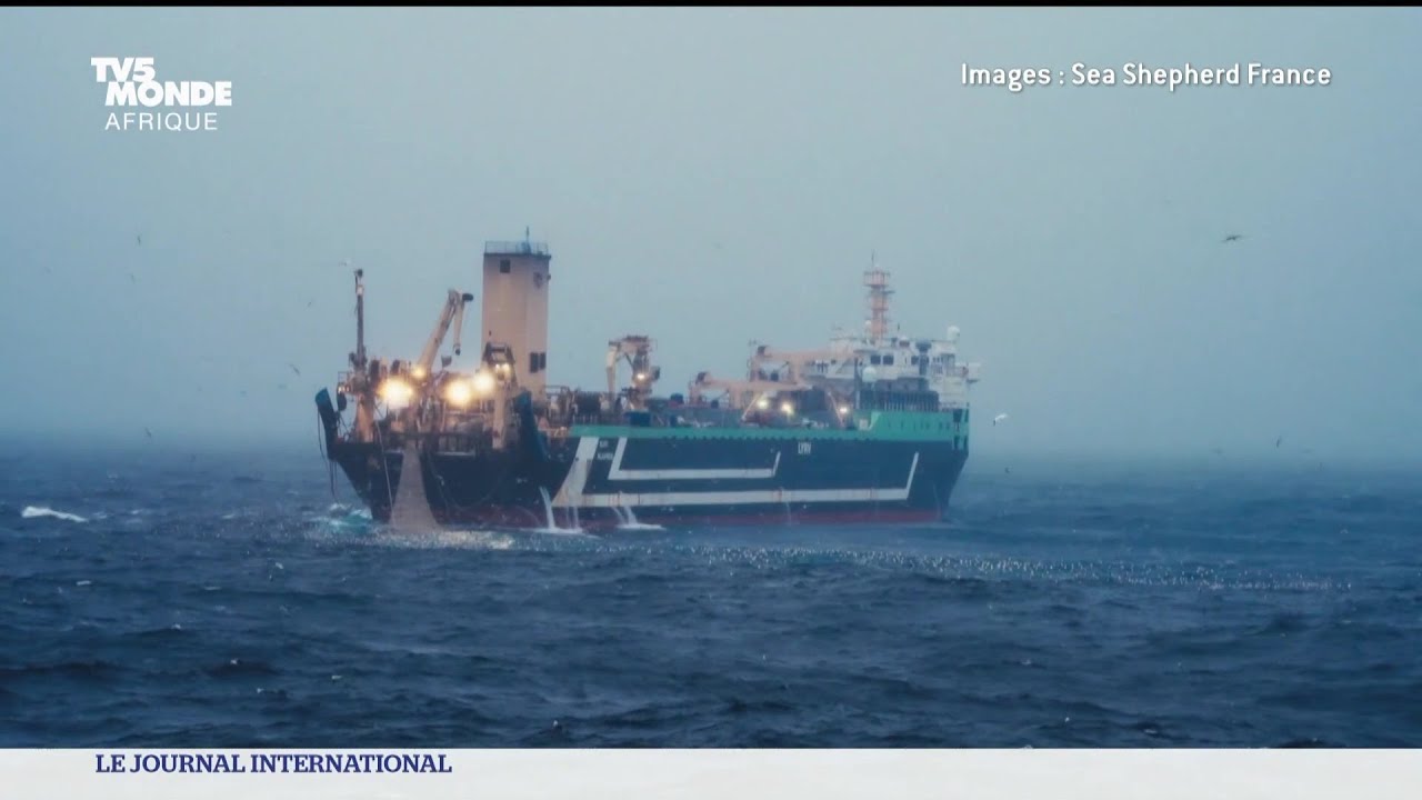 La pêche industrielle par des superchalutiers