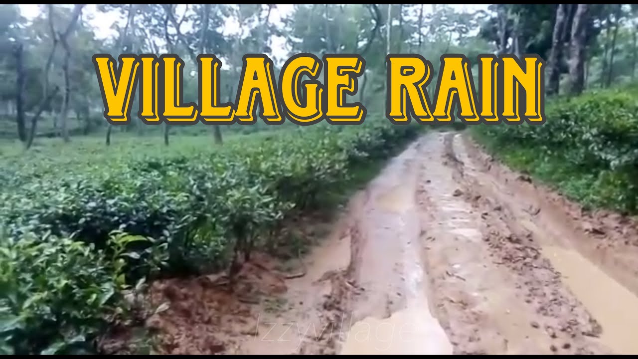 bangladeshi village rainy season in bangladesh village area