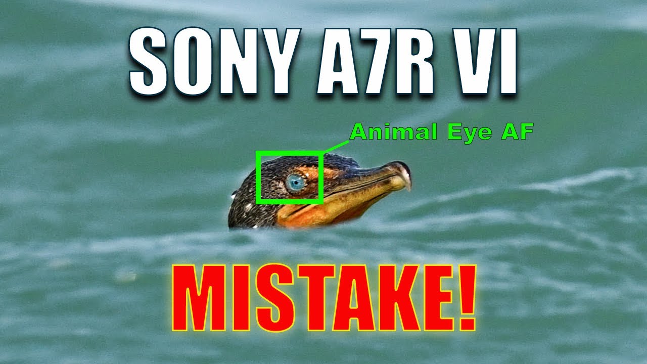 Sony Made A Huge Mistake With The A7R VI