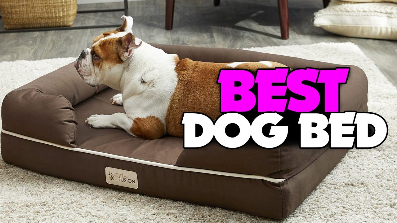 TOP 5: Best Dog Bed [2022] | Our Top Picks!