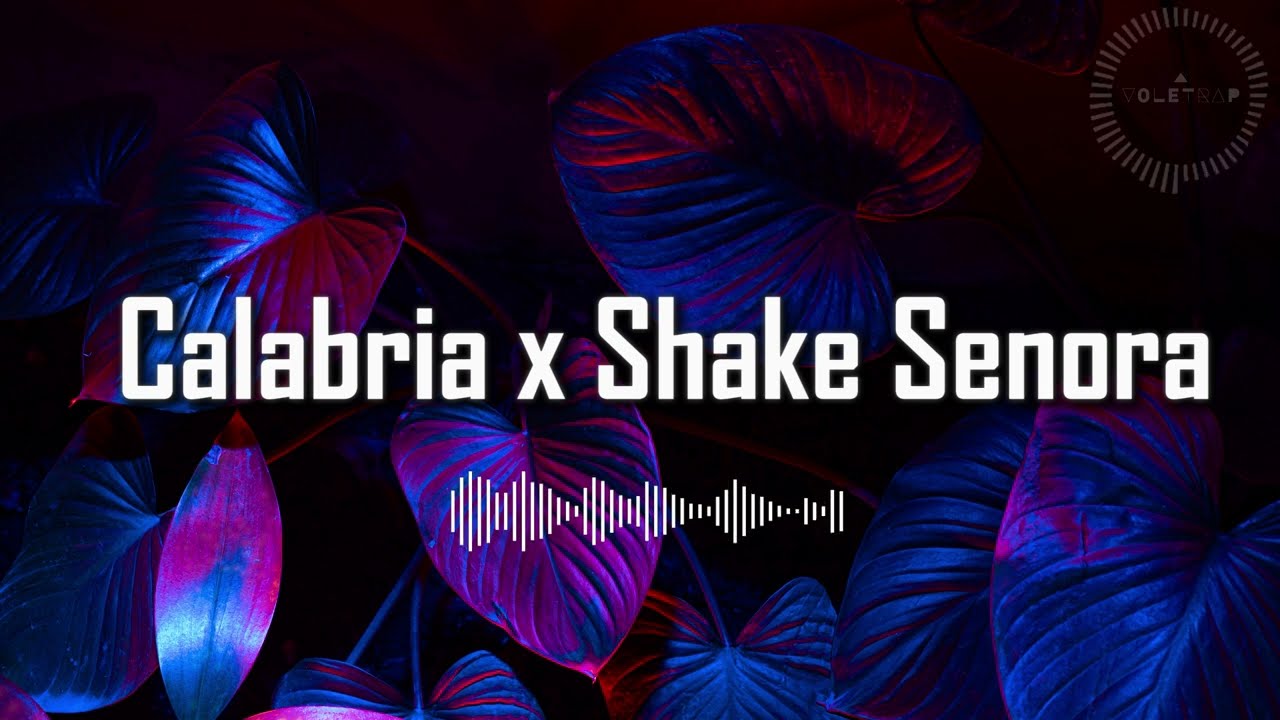 Calabria x Shake Senora mashup | ( Pitbull ft. T-Pain, Sean Paul x Enur ft. Natasja )