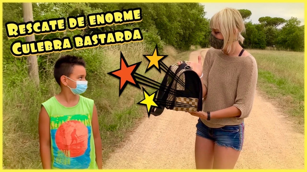 RESCATE de una enorme culebra con un seguidor